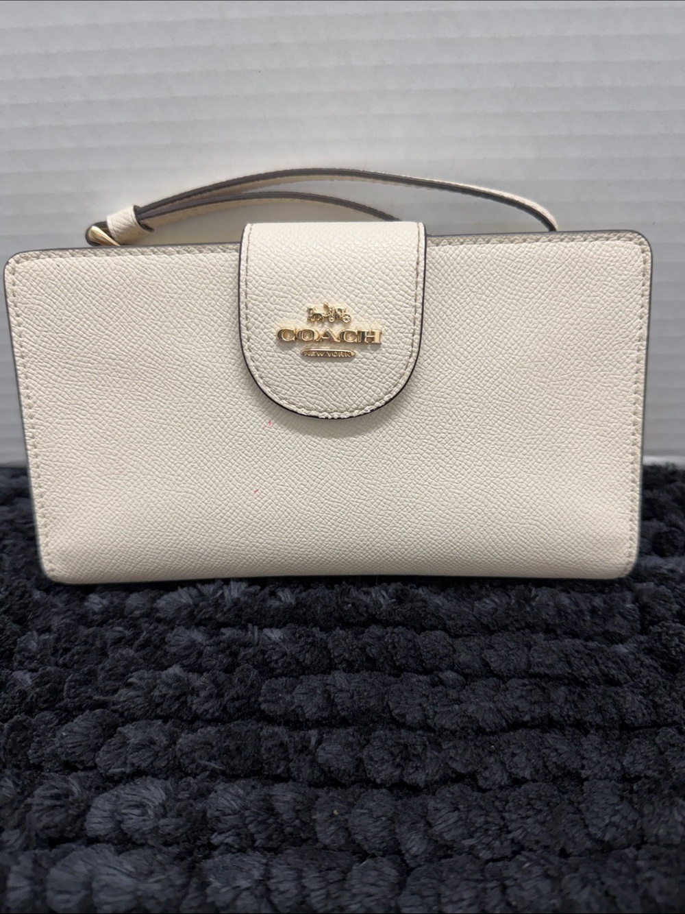 Coach Chalk Pebble Leather Wristlet